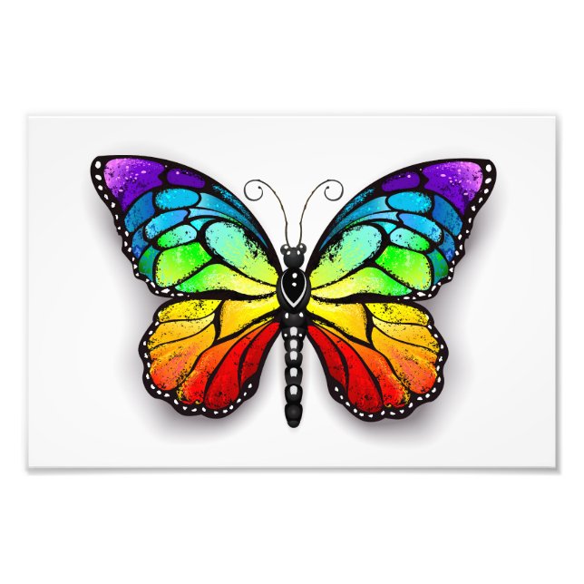 Foto Monarca de mariposa arcoiris (Frente)