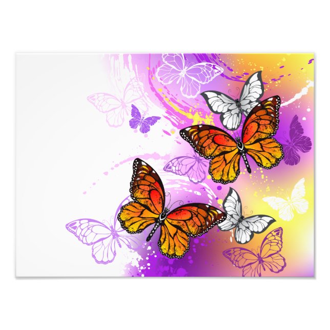 Foto Monarch Butterflies on Purple Background (Frente)