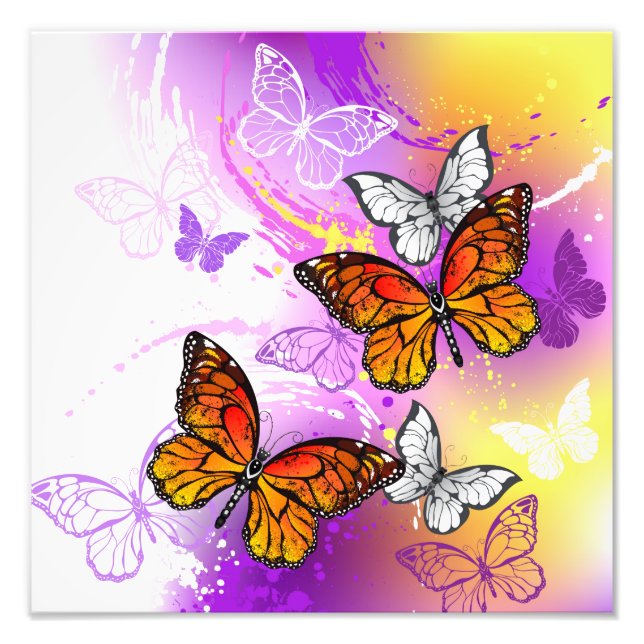 Foto Monarch Butterflies on Purple Background (Frente)