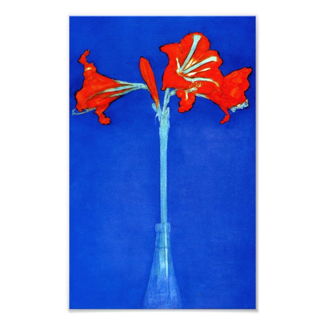 Foto Mondrian Amaryllis Print (Frente)