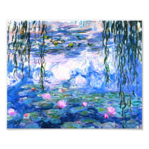 Foto Monet Pink Water Lilies