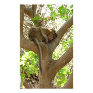 Foto Mono - Estoy demasiado cansado