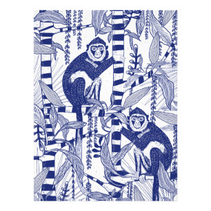 Foto Monos en la selva
