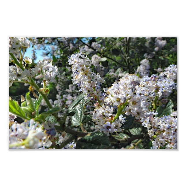 Foto Montaña marrón (Frente)