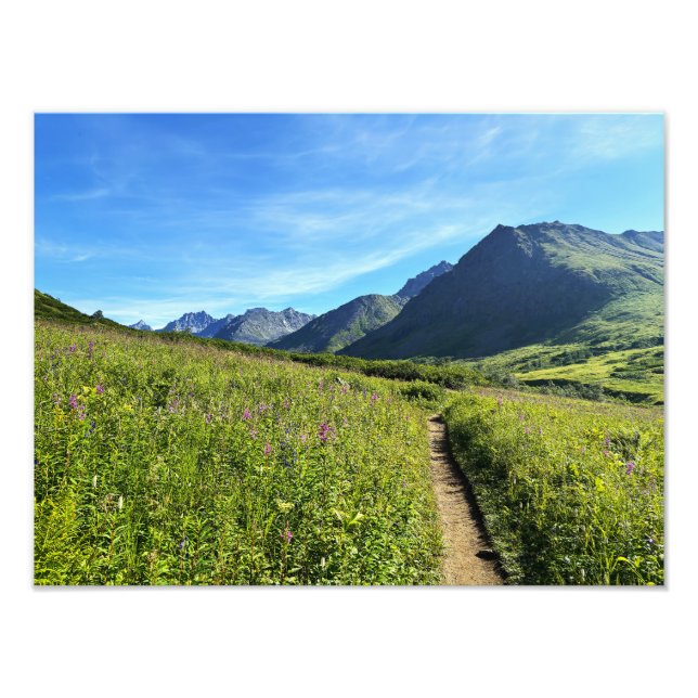 Foto Montañas de verano (Frente)