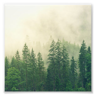 Foto Montañas rocosas verdes de la niebla negra Colorad