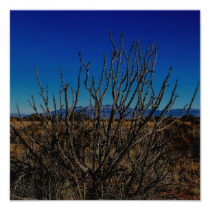 Foto Montañas Sandia Albuquerque