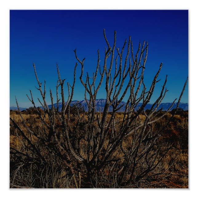 Foto Montañas Sandia Albuquerque  (Frente)