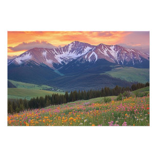 Foto Montañas y Flores Silvestres Impresión Colorado