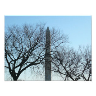 Foto Monumento a Washington en el paisaje invernal I