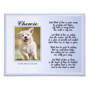 Foto Monumento al Mascota de perro o gato con poema