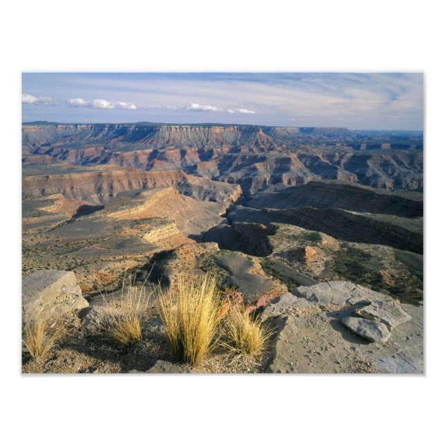 Foto Monumento Nacional Grand Canyon-Parashant, 2 (Frente)