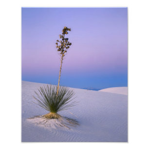 FOTO MONUMENTO NACIONAL WHITE SANDS, NUEVO MÉXICO.