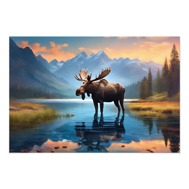 Foto Moose en el lago (Frente)