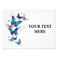 Morfo de las mariposas voladoras azules