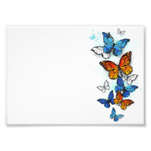 Foto Morfo y monarca de las mariposas voladoras