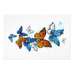 Foto Morfo y monarca de las mariposas voladoras