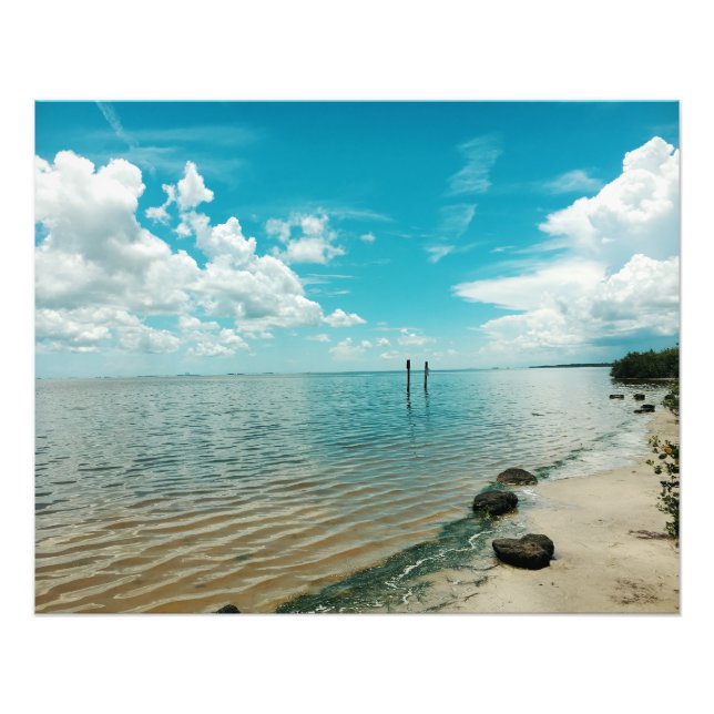 Foto Mosquito Lagoon Florida Water Blue Sky (Frente)
