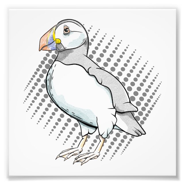 Foto Motivos de Puffin (Frente)