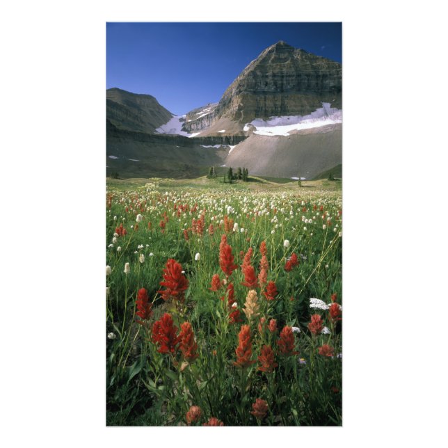 FOTO MOUNT TIMPANOGOS WILDERNESS, UT, US, (Frente)