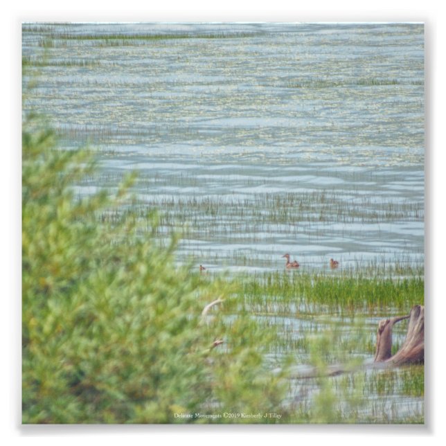 Foto Movimiento Delicado (Frente)