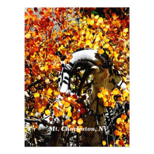 Foto Mt. Charleston NV Autumn Aspen Photo Print