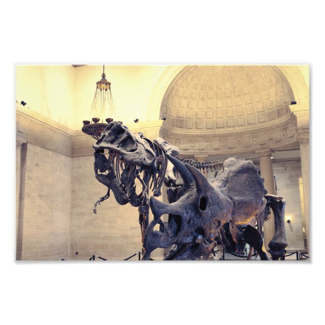 Foto Museo de Historia Natural de Los Ángeles  (Frente)