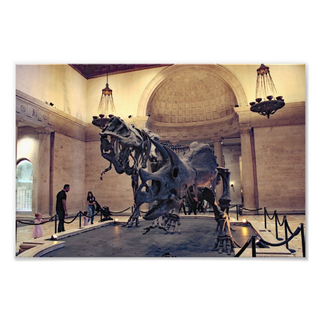 Foto Museo de Historia Natural de Los Ángeles  (Frente)