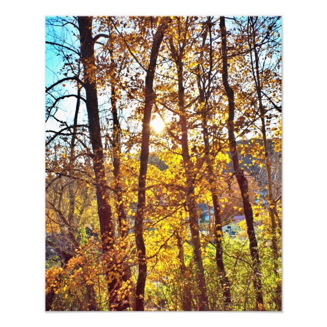 Foto my view (Frente)