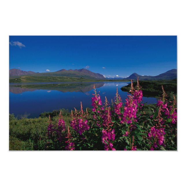Foto N.A., EE. UU., Alaska, Alaska Range Común (Frente)