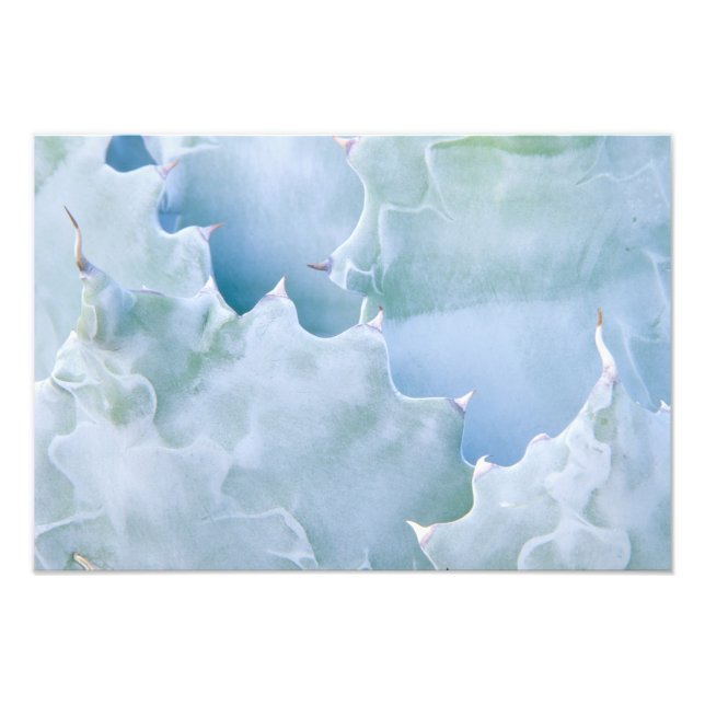 Foto N.A., EE.UU., Arizona, Tucson, desierto de Sonora  (Frente)