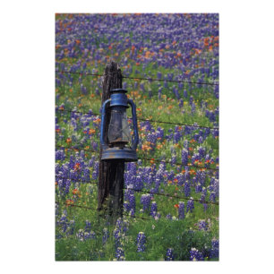 Foto N.A., EE. UU., Texas, Llano, Linterna Azul y