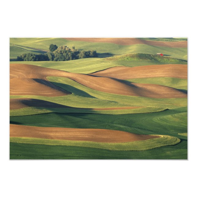 Foto N.A., EE.UU., Washington, Condado de Whitman. (Frente)