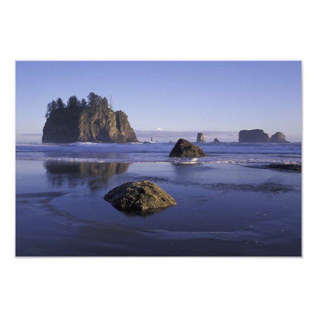 Foto N.A., Estados Unidos, Washington, Parque Nacional  (Frente)