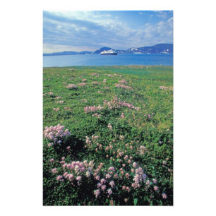 Foto NA, EE.UU., Alaska, isla Aleutiana, Escenario con