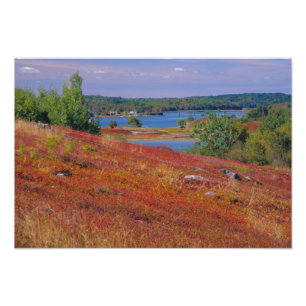 Foto NA, EE.UU., Maine. Blueberry Barrens.