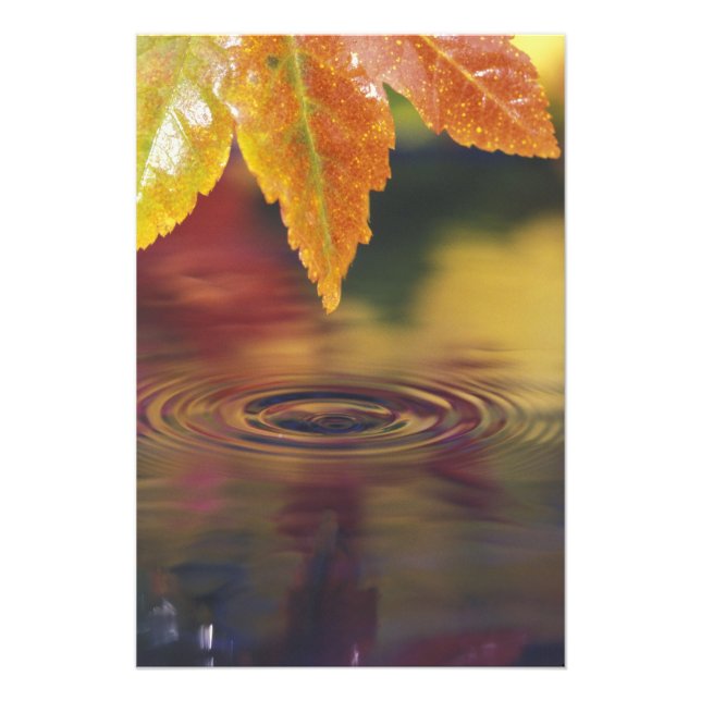 Foto NA, EE.UU., Pacífico noroeste (Frente)