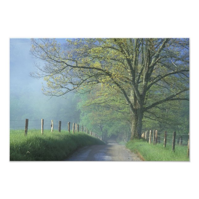 Foto NA, EE.UU., Tennessee, Cades Cove, Great Smoky (Frente)