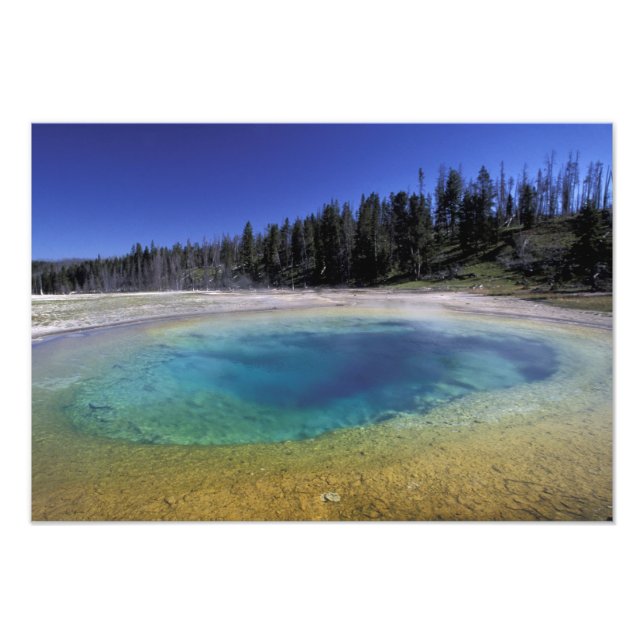 Foto NA, EE.UU., Wyoming, Parque Nacional Yellowstone.  (Frente)