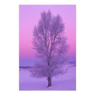 Foto NA, EE.UU., Wyoming, Yellowstone NP, Paisaje