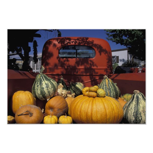 Foto NA, EEUU, Nuevo México, Taos. La posición de Chile (Frente)