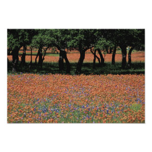 Foto NA, Texas, Texas Hill Country, presa de Buchan,