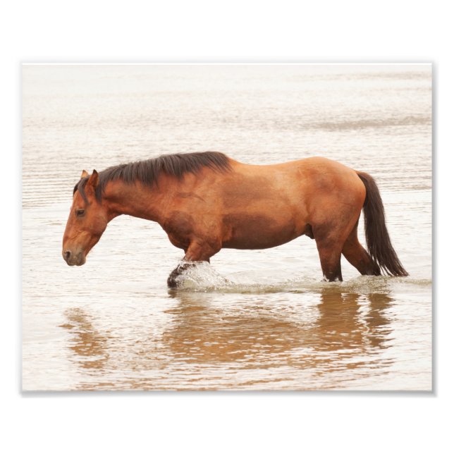 Foto Nado matutino para un caballo (Frente)