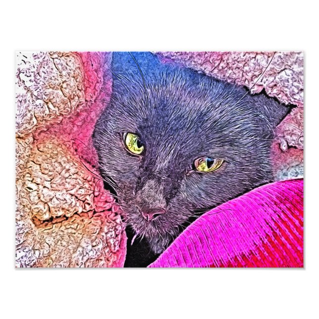 Foto Napoleón en una manta (Frente)