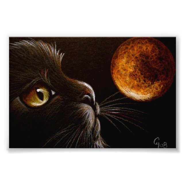 Foto Naranja DE PERFIL DE CAT NEGRO MOON HALLOWEEN NOCH (Frente)