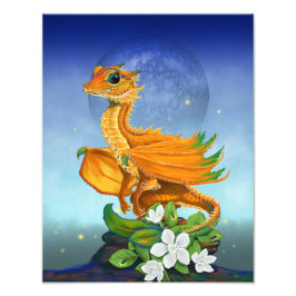 Foto Naranja Dragon 11x14 Imprimir