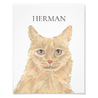 Naranja personalizado Maine Coon Art