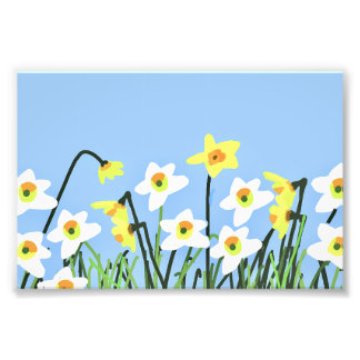 Foto Narcisos en primavera – Arte contemporáneo
