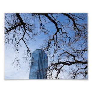 Foto Natural y artificial en Dallas, Texas