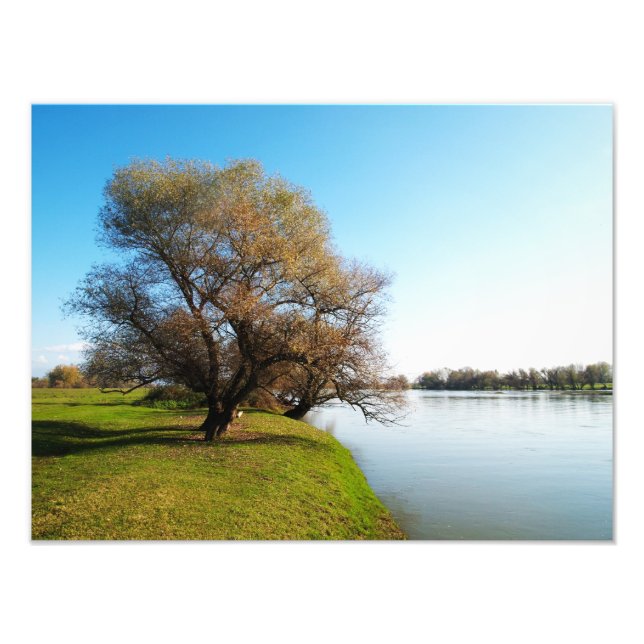 Foto naturaleza (Frente)